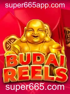 Tudo o que Você Precisa Saber sobre BudaiReels